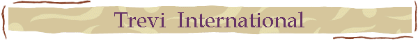 Trevi  International